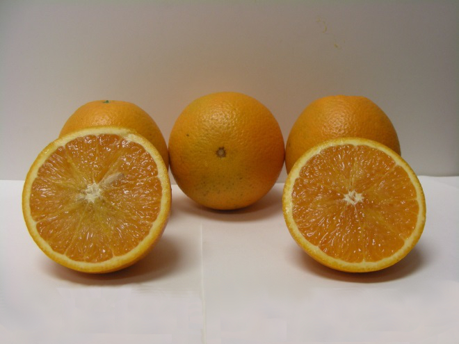 ‘OLL-8’